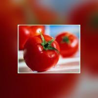 &ETH;&ETH;&deg;&Ntilde;&Ntilde;&ETH;&cedil;&ETH;&frac12;&ETH;&ordm;&ETH;&cedil; &ETH;&iquest;&ETH;&frac34; &ETH;&middot;&ETH;&deg;&ETH;&iquest;&Ntilde;&ETH;&frac34;&Ntilde;&Ntilde; &Otilde;&ordm;&Otilde;&iexcl;&Otilde;&deg;&Otilde;&iexcl;&Otilde;&reg;&Otilde;&cedil;&Otilde;&micro;&Otilde;&iexcl;&Ouml;&Otilde;&frac34;&Otilde;&iexcl;&Otilde;&reg; &Otilde;&not;&Otilde;&cedil;&Otilde;&not;&Otilde;&laquo;&Otilde;&macr;